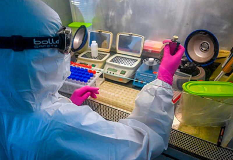 Pfizer проведет клинические исследования лекарства от COVID-19 в России