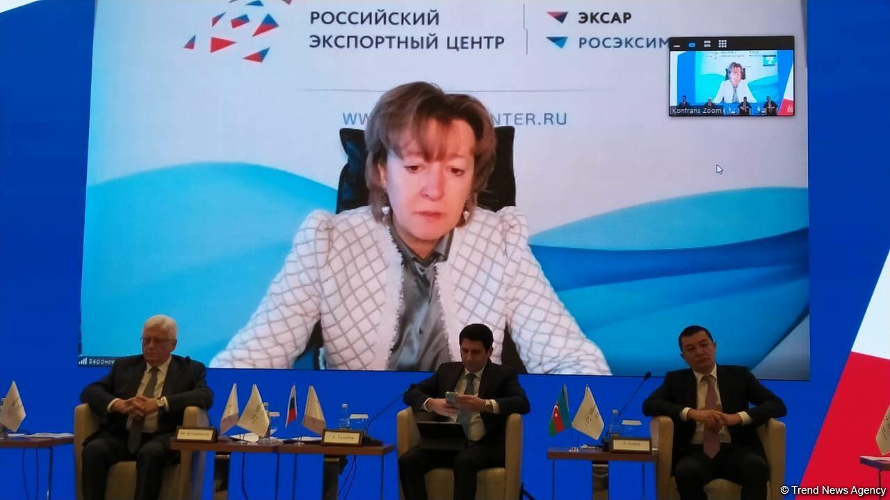 Азербайджан и Россия будут развивать платформу расширения делового сотрудничества