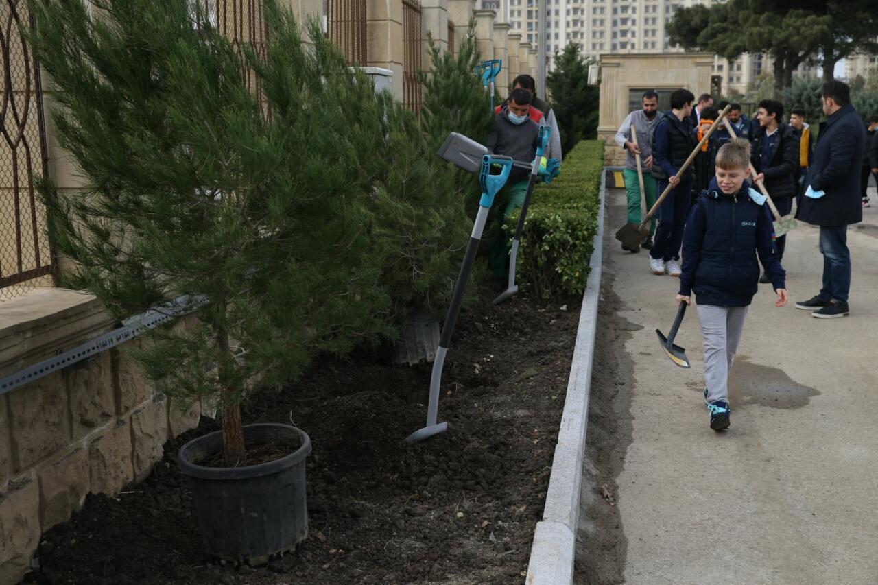 В рамках ЧМ по прыжкам на батуте и тамблингу в Баку прошла акция по посадке деревьев