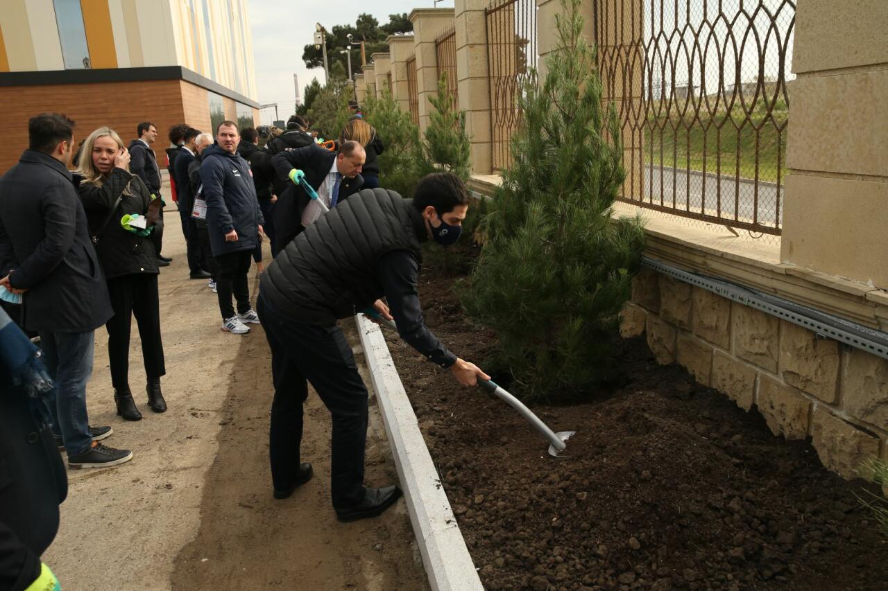 В рамках ЧМ по прыжкам на батуте и тамблингу в Баку прошла акция по посадке деревьев