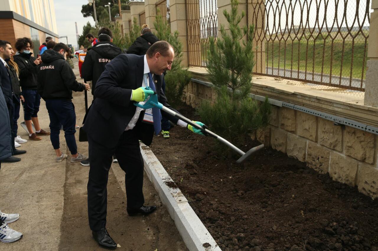 В рамках ЧМ по прыжкам на батуте и тамблингу в Баку прошла акция по посадке деревьев
