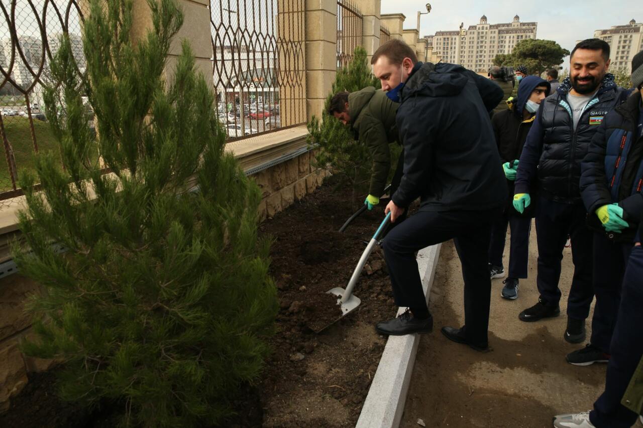 В рамках ЧМ по прыжкам на батуте и тамблингу в Баку прошла акция по посадке деревьев