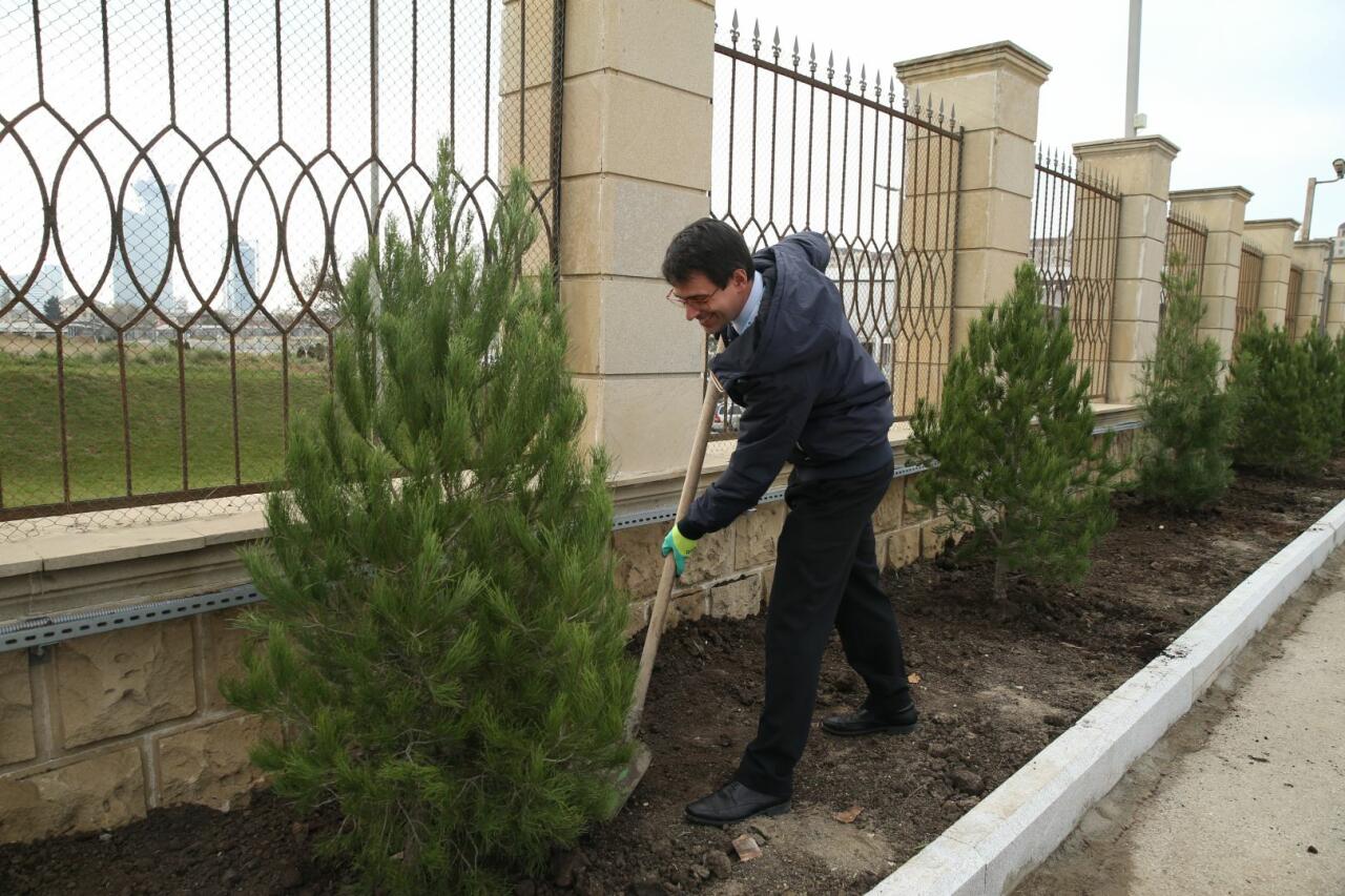 В рамках ЧМ по прыжкам на батуте и тамблингу в Баку прошла акция по посадке деревьев