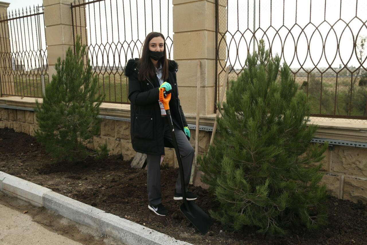 В рамках ЧМ по прыжкам на батуте и тамблингу в Баку прошла акция по посадке деревьев