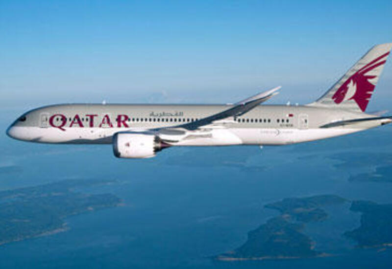 Гендиректор Qatar Airways призвал Airbus признать наличие дефектов в их самолетах