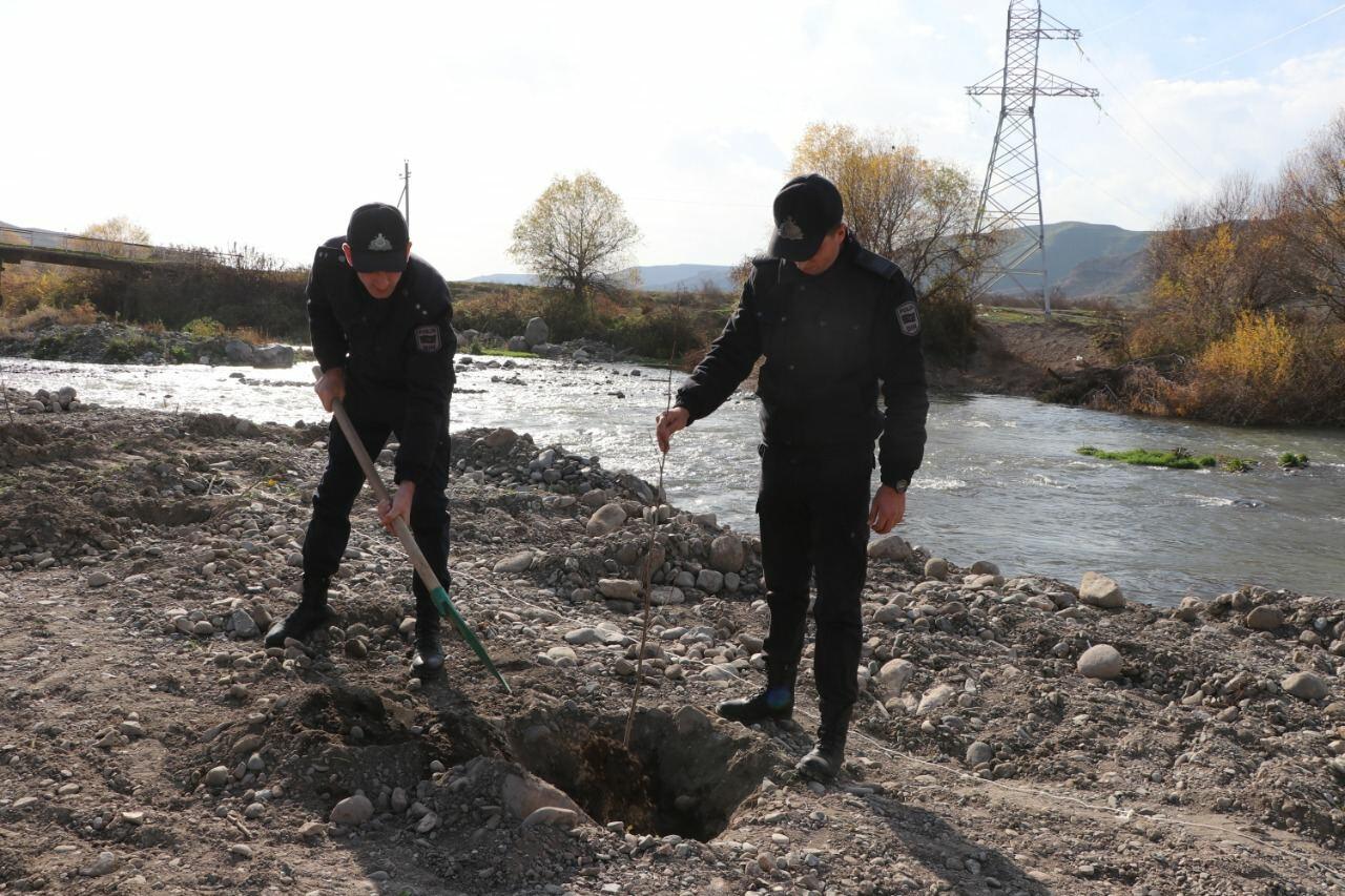 В Лачине прошла акция по посадке деревьев
