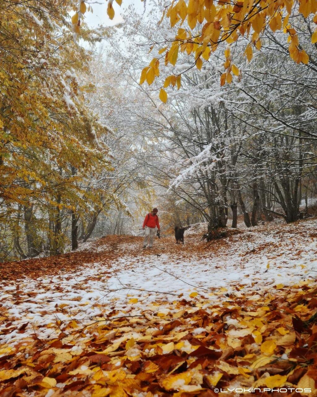 Золотые оттенки и первый снег в Пиргулу