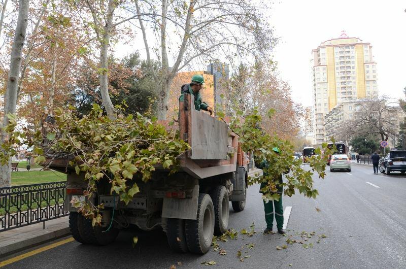В Баку продезинфицировали 550 улиц