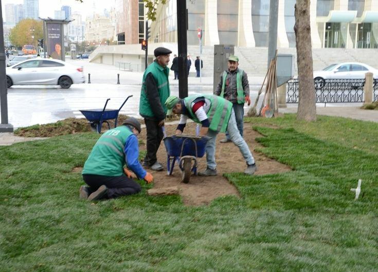 В Баку продезинфицировали 550 улиц