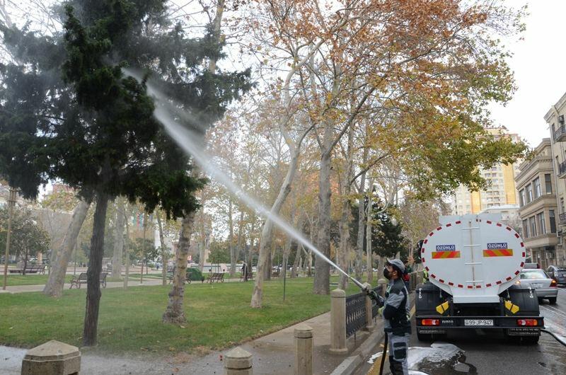 В Баку продезинфицировали 550 улиц