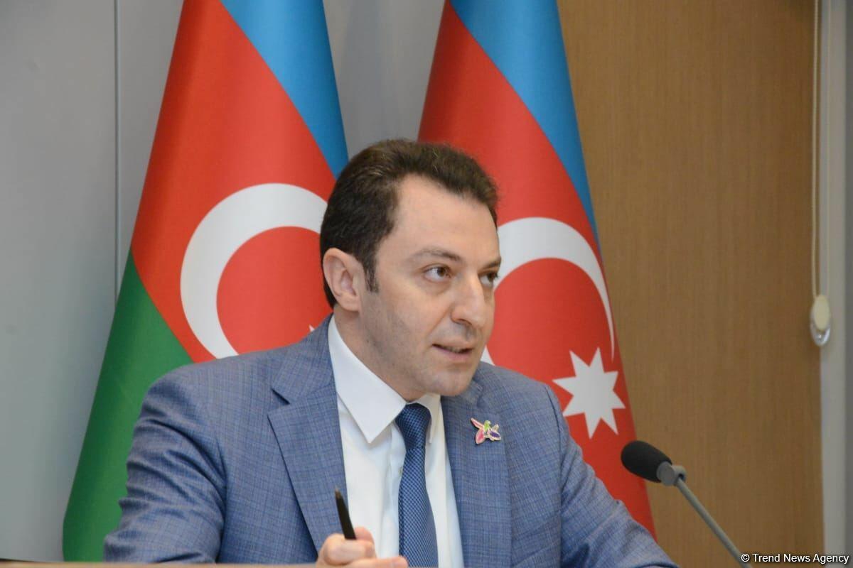 Прошёл брифинг в связи с решением Международного суда по иску Азербайджана против Армении