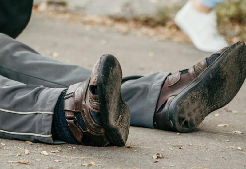 В Гусаре упавшее дерево убило пожилого мужчину