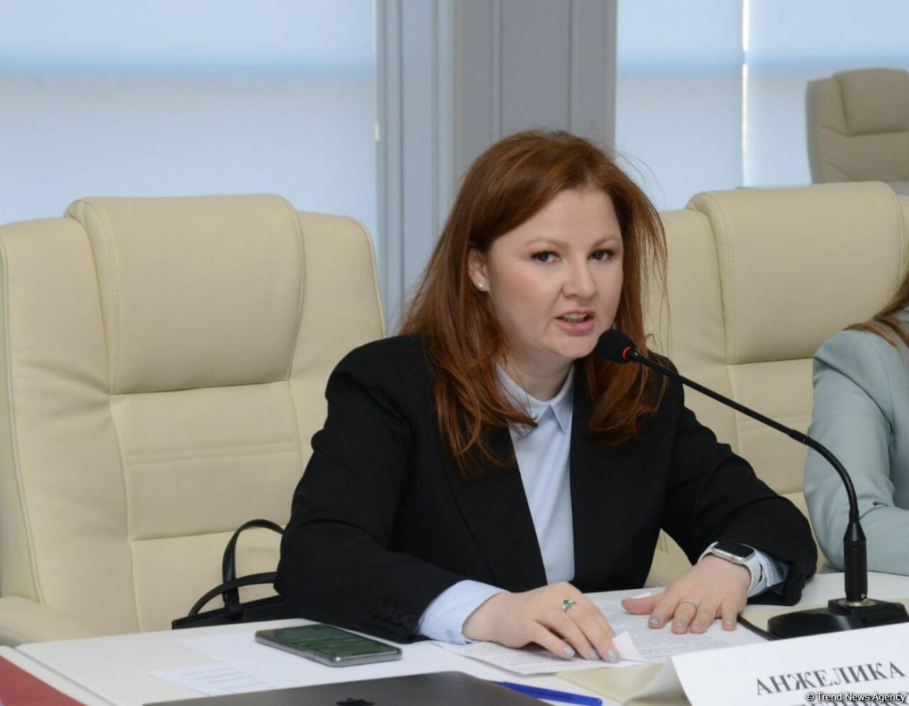 Эксперты из Азербайджана и России обсудили перспективы дальнейшего развития отношений между Баку и Москвой