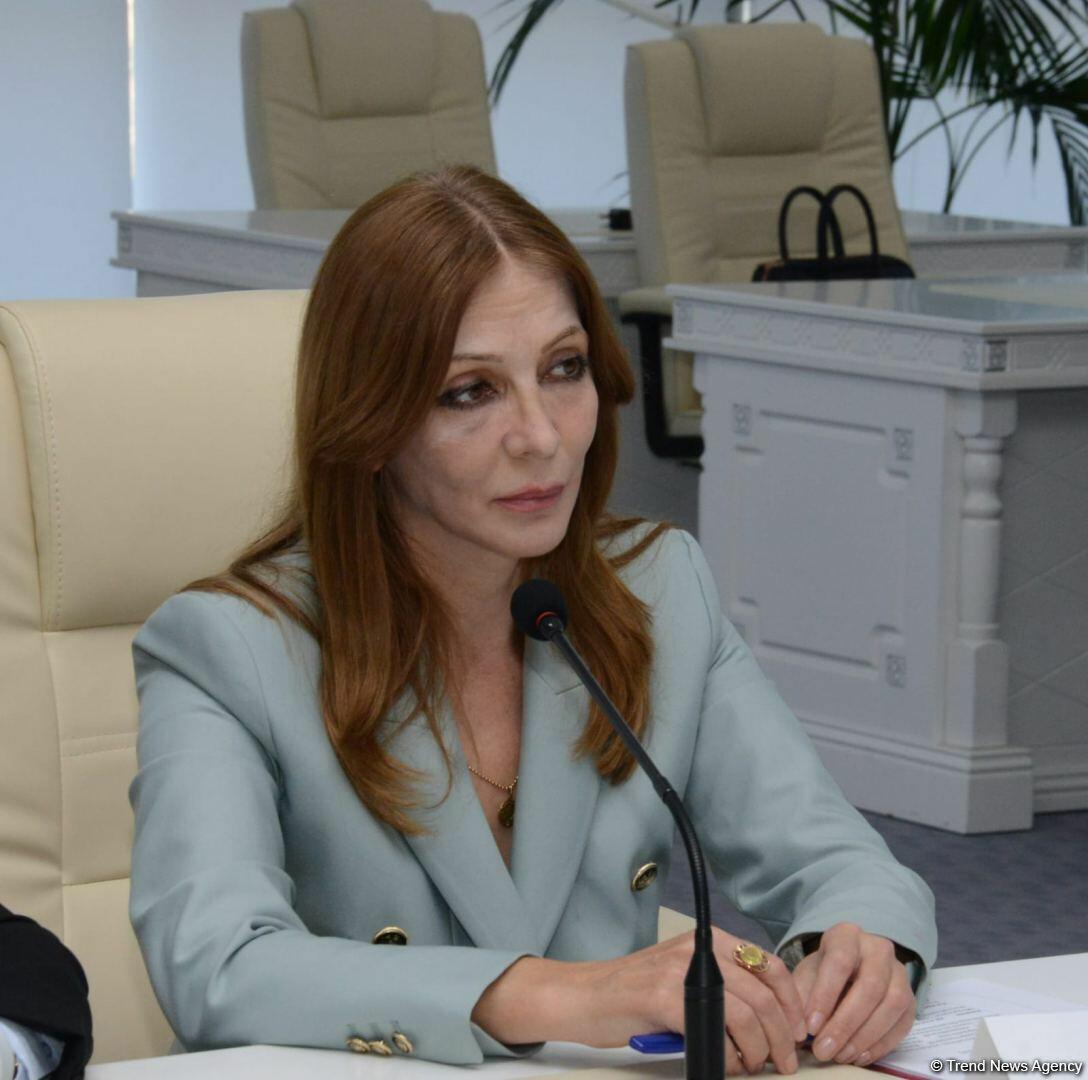 Эксперты из Азербайджана и России обсудили перспективы дальнейшего развития отношений между Баку и Москвой