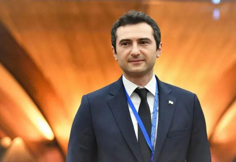 Председатель парламента Грузии подал в отставку