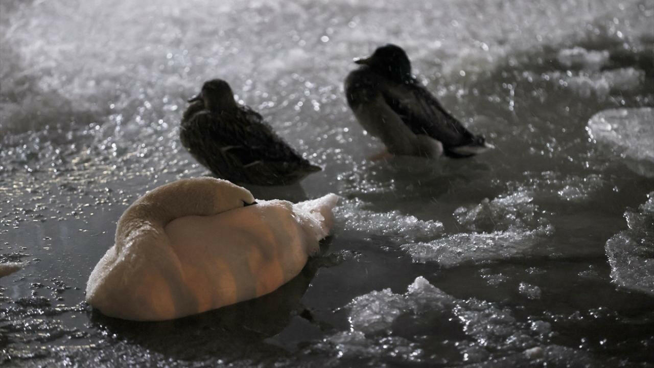 В турецкой столице замерз фонтан