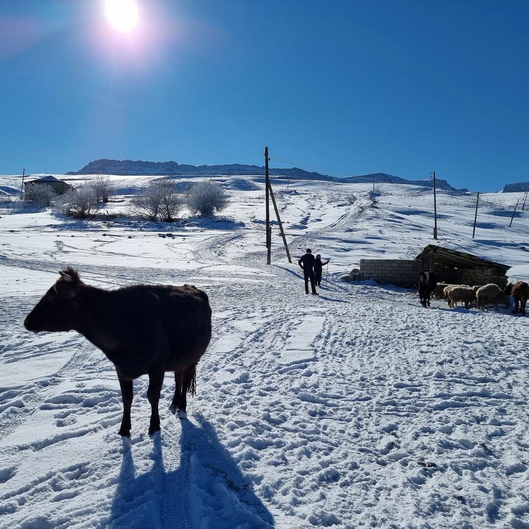 Завораживающие пейзажи заснеженного Гусара