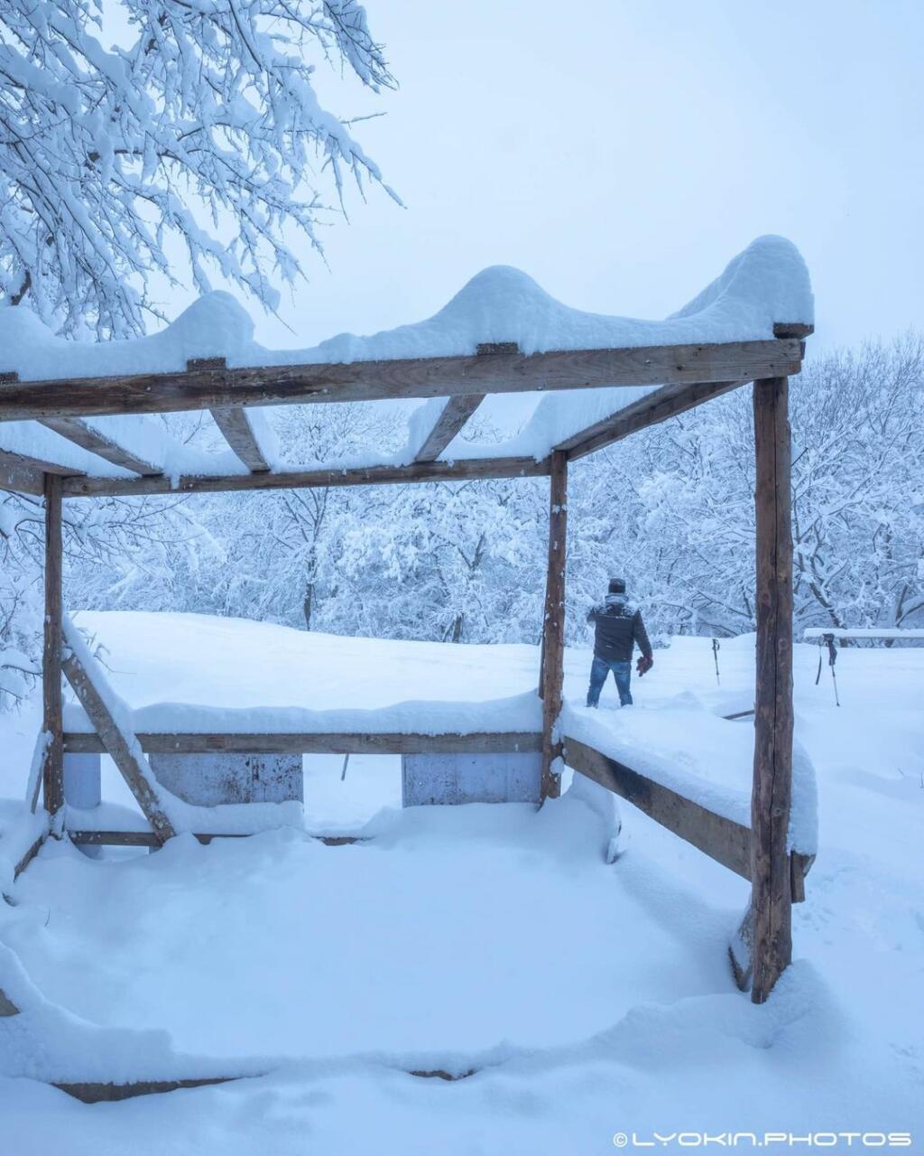 Чарующие снимки заснеженной Губы