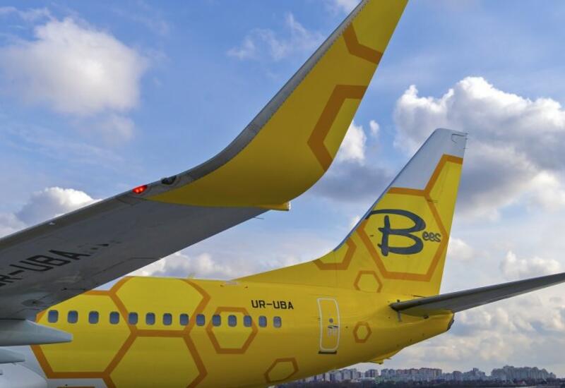 У Bees Airline багаж временно стал бесплатным