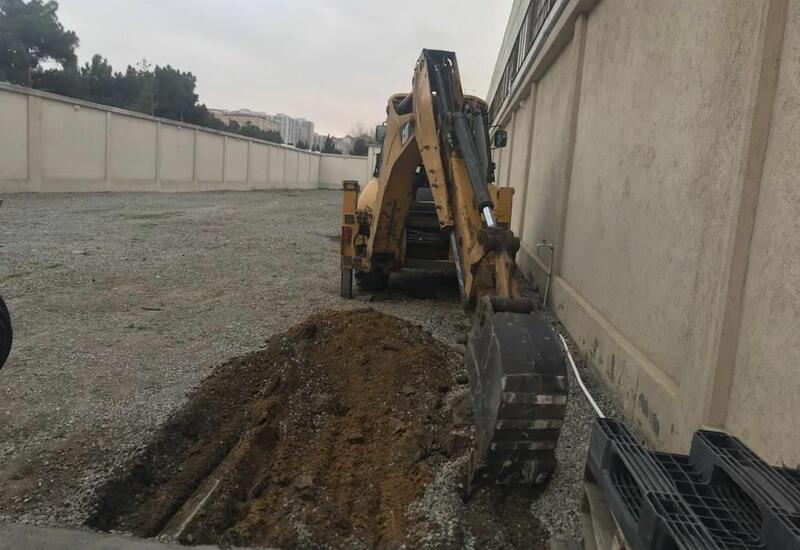 Генпрокуратура расследует факт незаконной вырубки деревьев в Баку