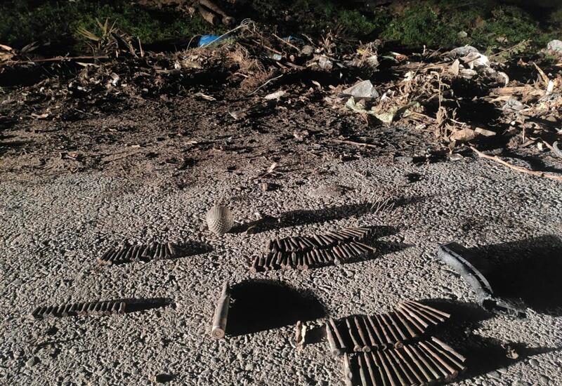 В Шувелане нашли боеприпасы