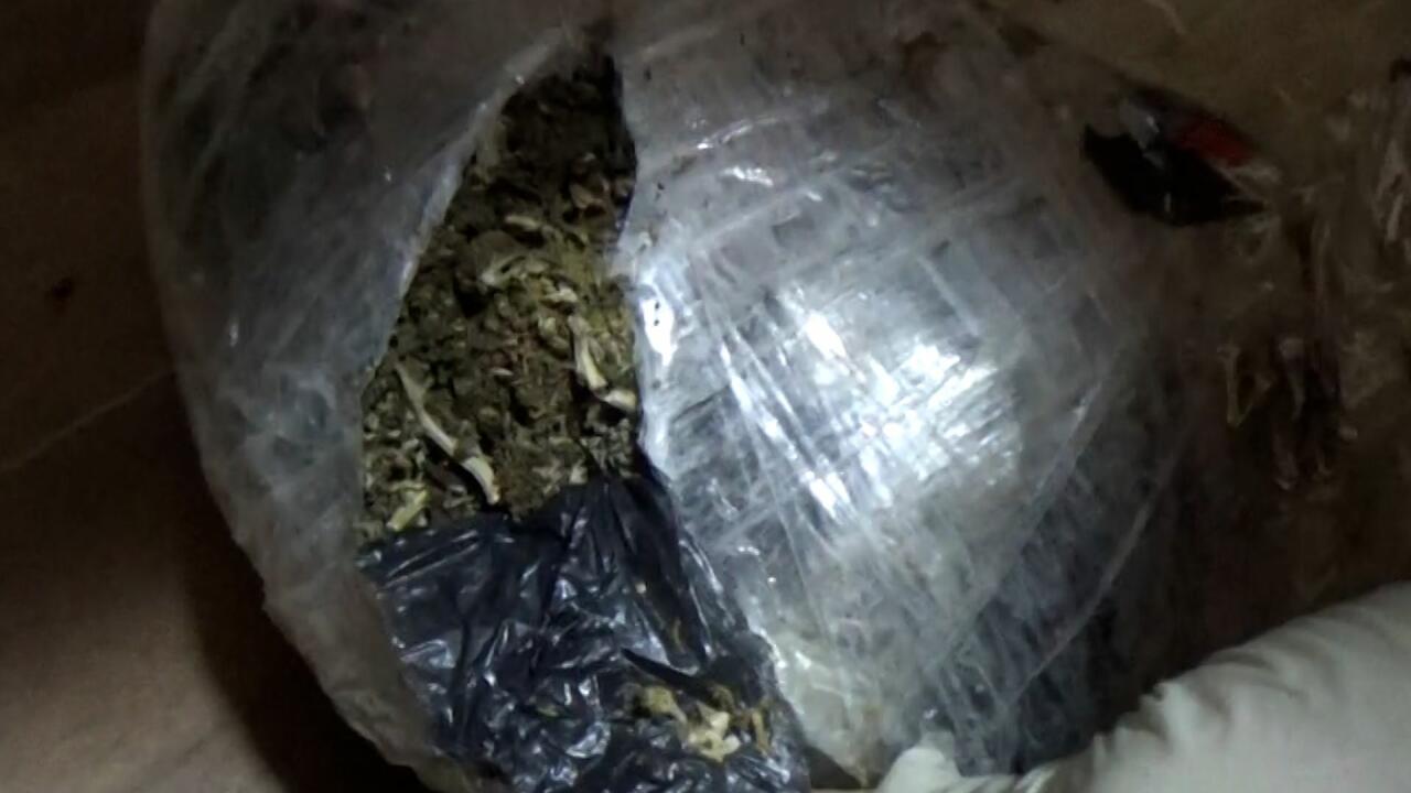 Sabunçuda narkokuryerliklə məşğul olan “bloger” saxlanılıb