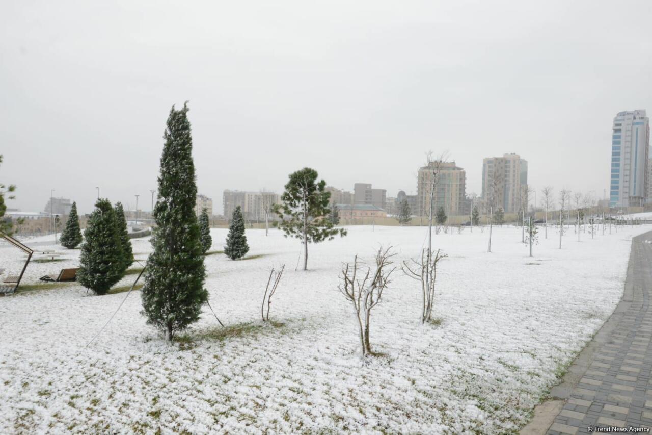 Снежный Баку