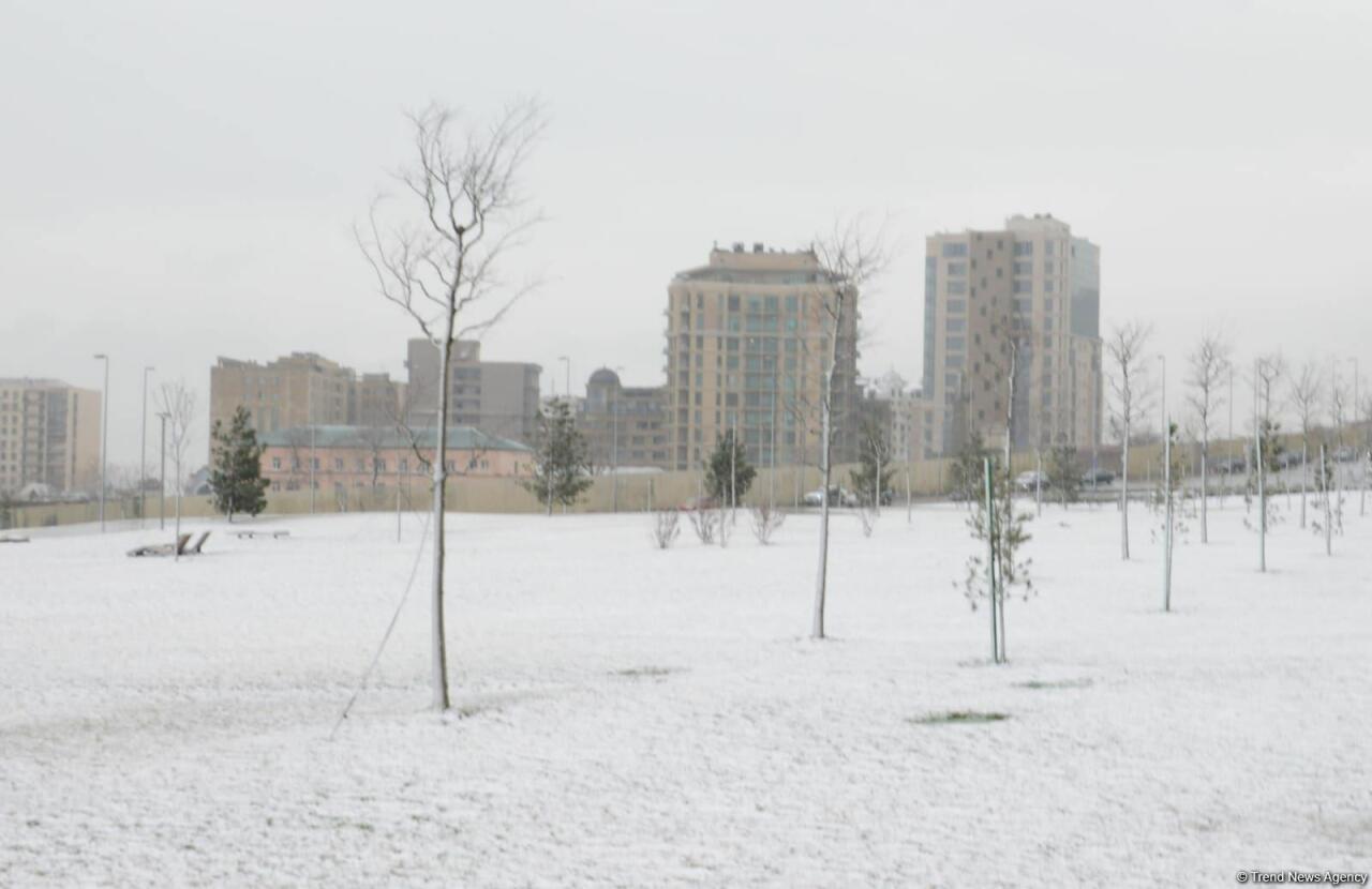 Снежный Баку