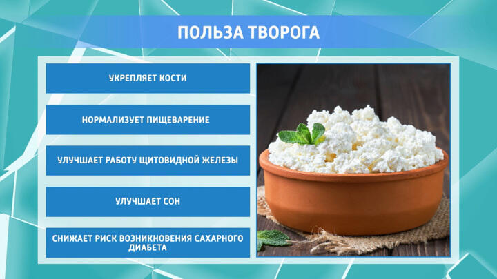 Почему надо есть жирный творог: последние исследования диетологов