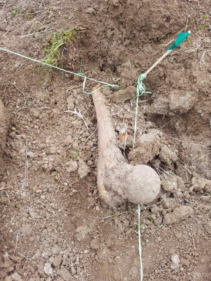 QHT sədrləri Edili kəndinə səfər ediblər