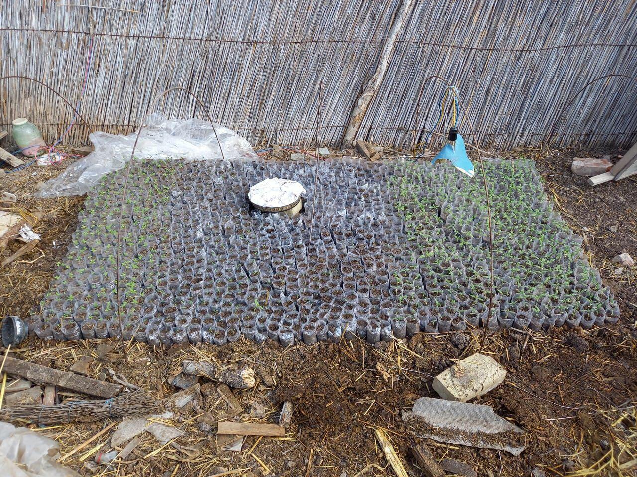 У бывшего заключенного обнаружили наркотики и оружие