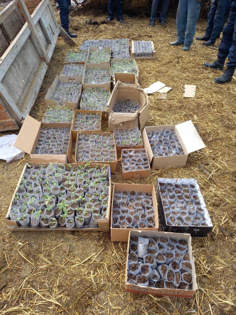 У бывшего заключенного обнаружили наркотики и оружие