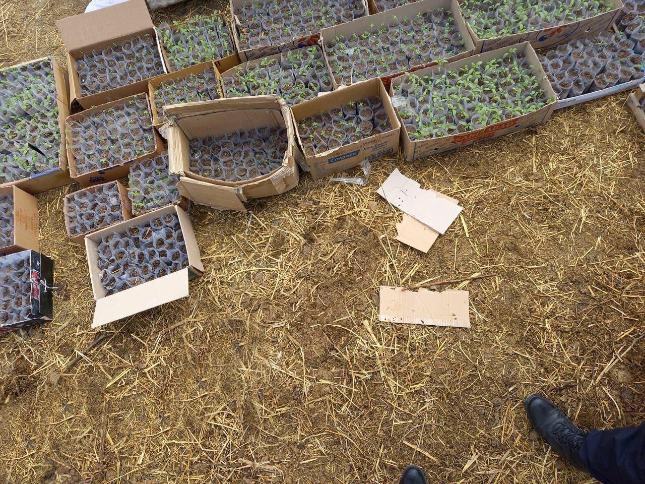 У бывшего заключенного обнаружили наркотики и оружие