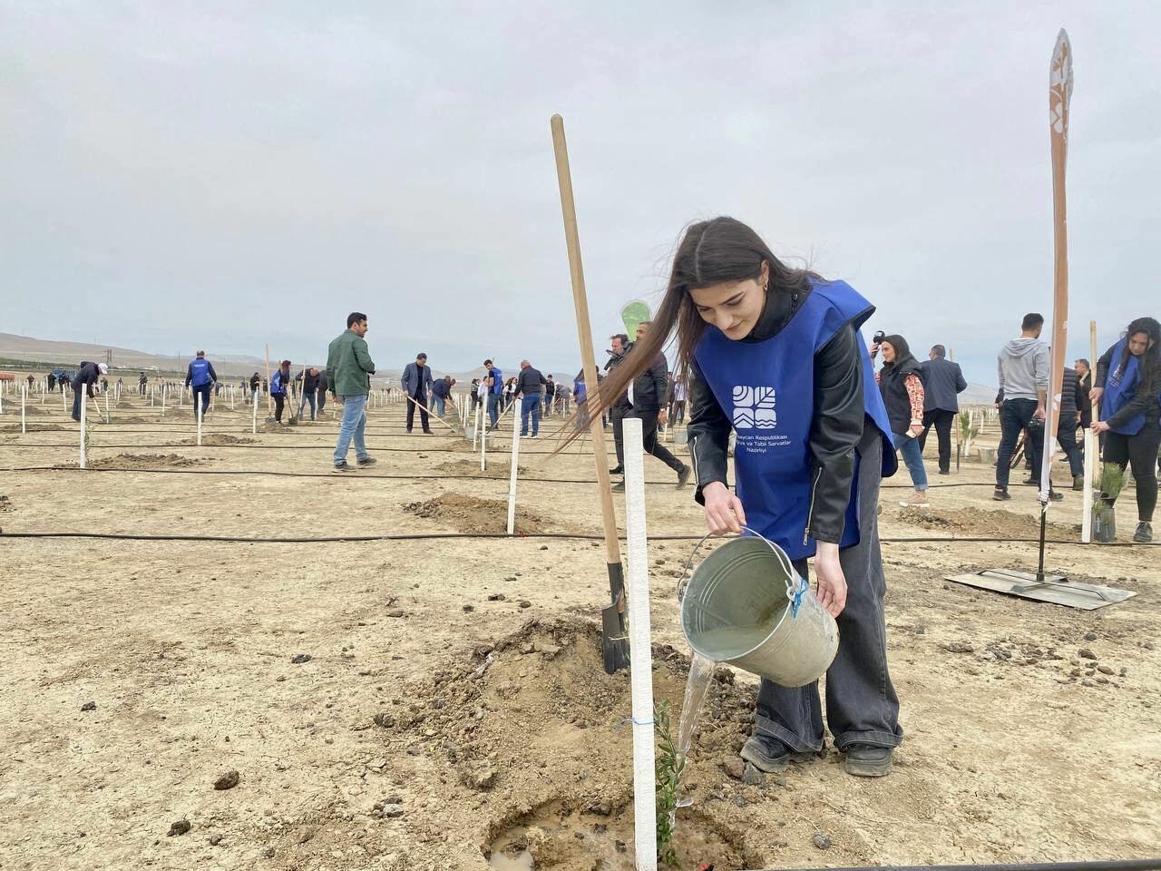 В Азербайджане в рамках кампании по посадке деревьев «Зеленый марафон 2022» проведена очередная акция