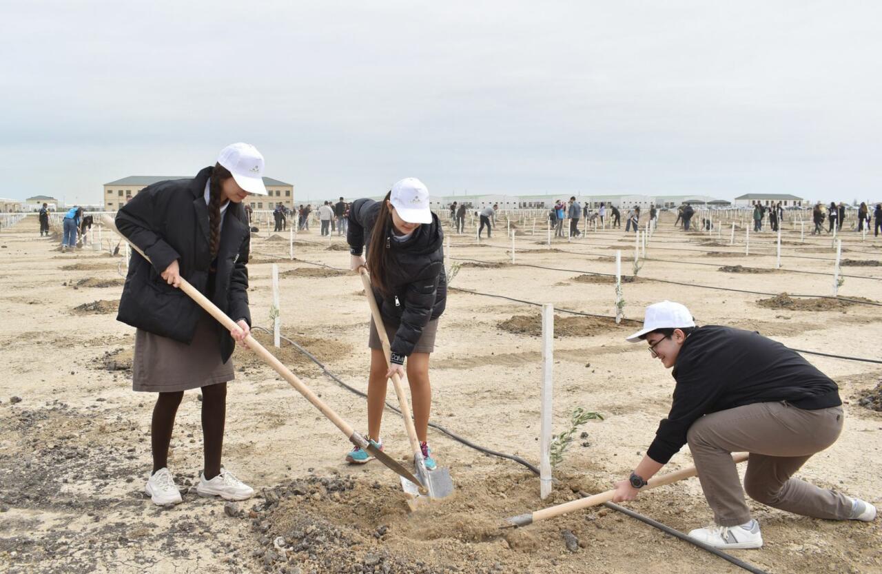 В Азербайджане в рамках кампании по посадке деревьев «Зеленый марафон 2022» проведена очередная акция