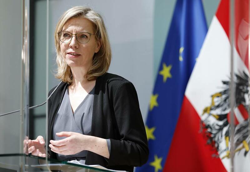 В Австрии сказали, в каком году ЕС хочет отказаться от газа из России