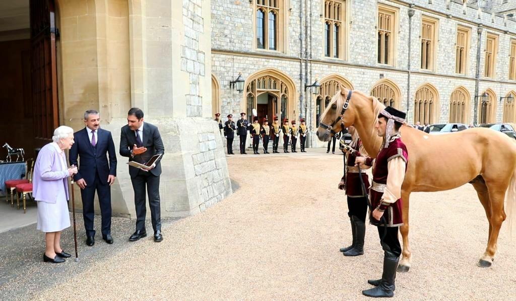 Британской королеве Елизавете II преподнесен подарок Президента Ильхама Алиева - карабахский скакун