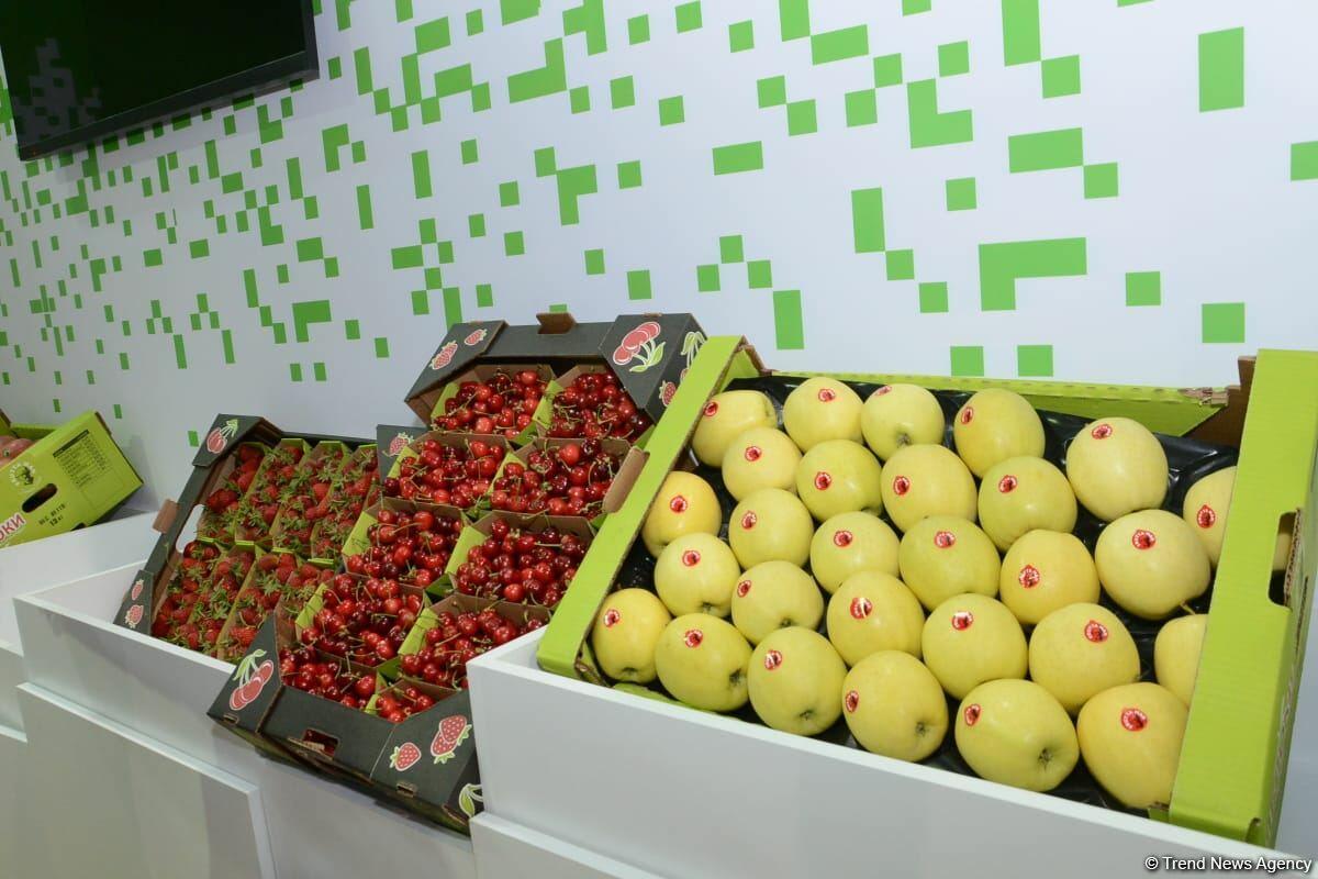 В Баку открылись международные выставки Caspian Agro и InterFood Azerbaijan