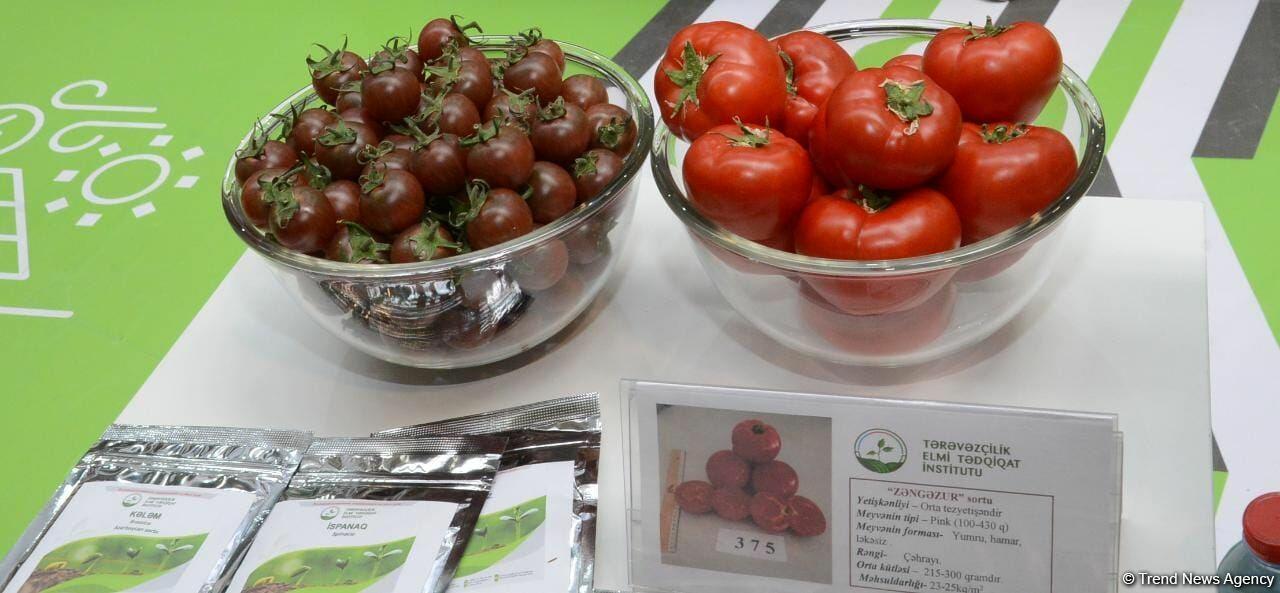 В Баку открылись международные выставки Caspian Agro и InterFood Azerbaijan
