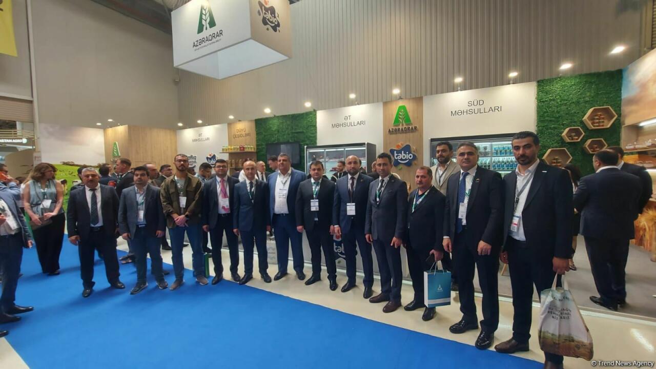 MUSIAD Azerbaijan подготовило стратегию развития на 2022 г.