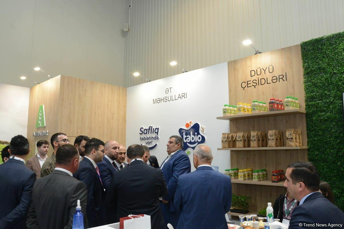 MUSIAD Azerbaijan подготовило стратегию развития на 2022 г.