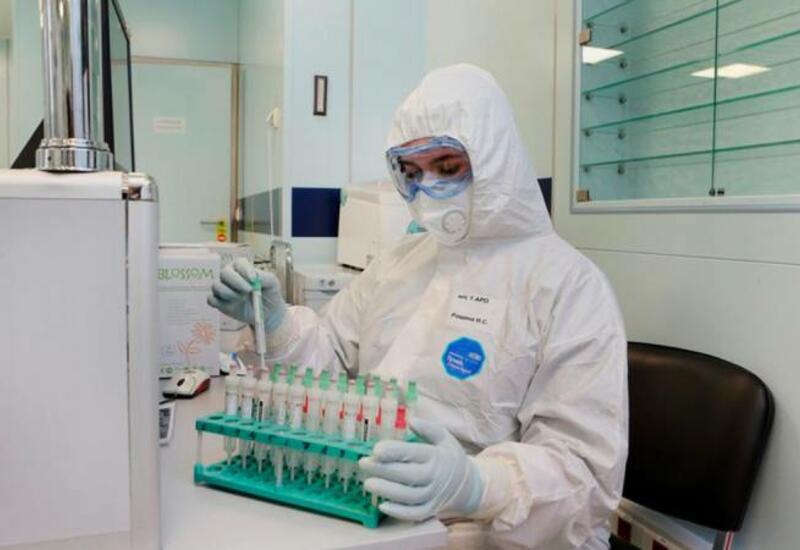 Число выявленных случаев COVID-19 в мире превысило 521 млн
