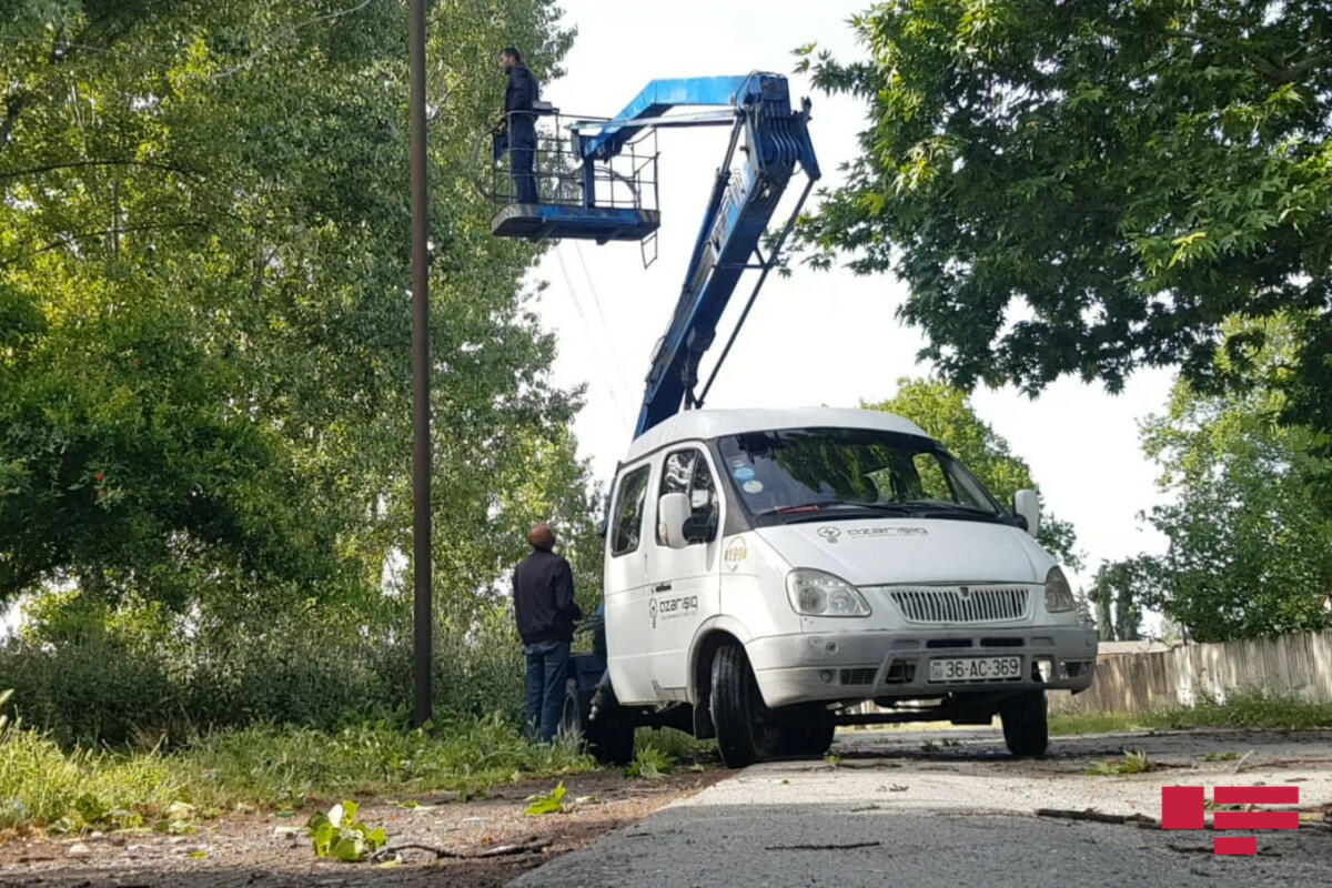 В Гёйчае сильный ветер обрушил деревья