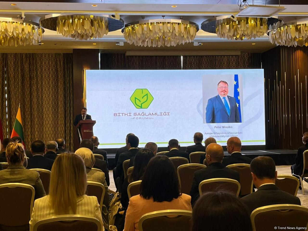 Какую продукцию невозможно ввезти в Азербайджан?
