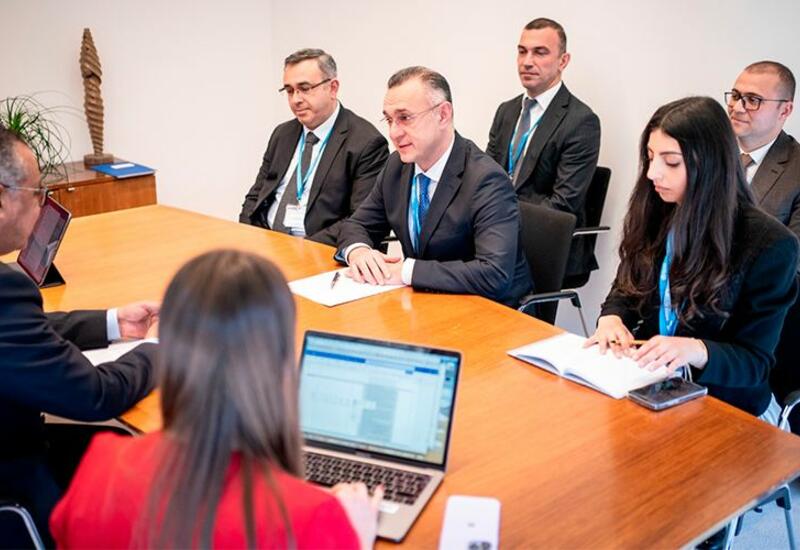 Теймур Мусаев встретился с гендиректором ВОЗ