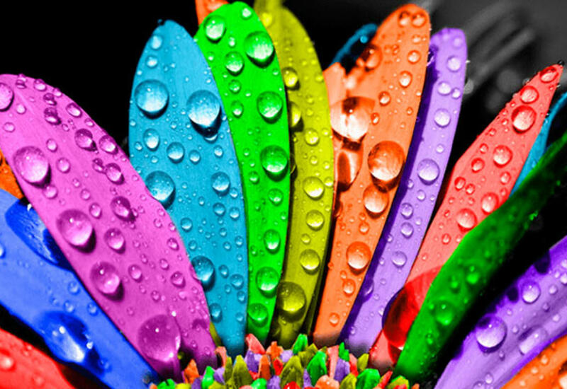Rəngləmə stressi azaltmağa kömək edə bilər