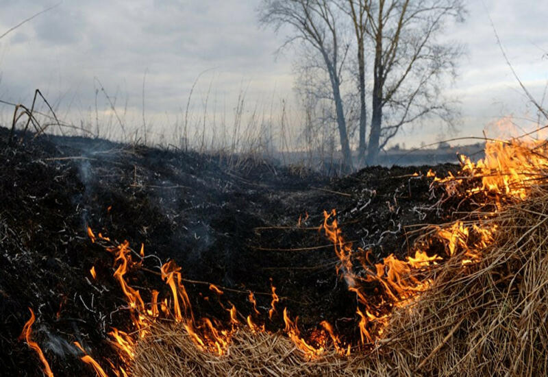 В Локбатане сгорели камыши