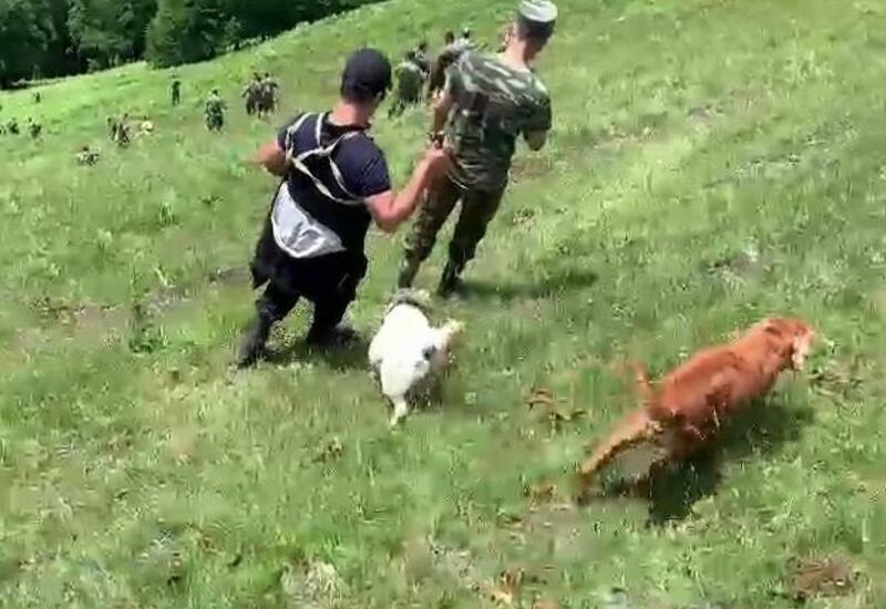 Продолжаются поиски пропавшего в Загатале индийского туриста