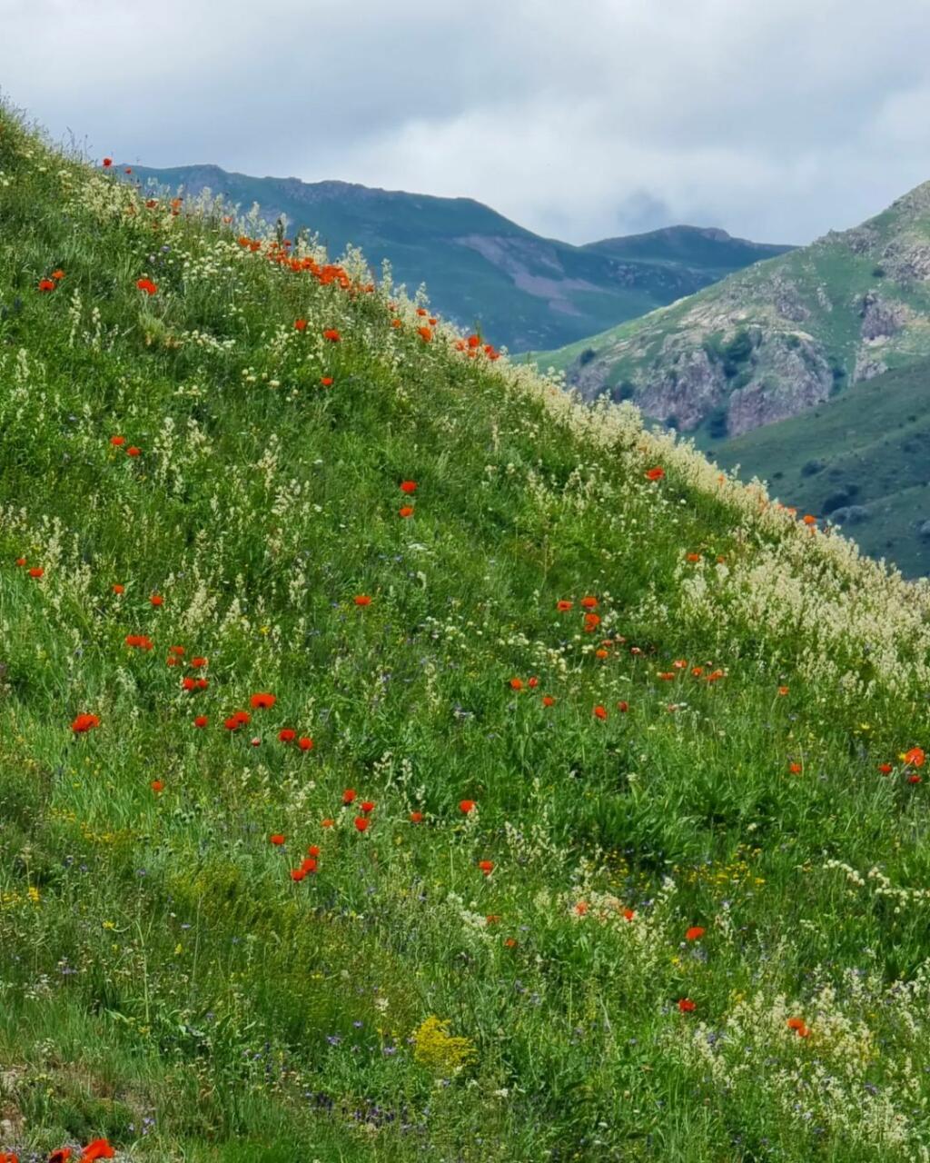 Июньские красоты Нахчывана
