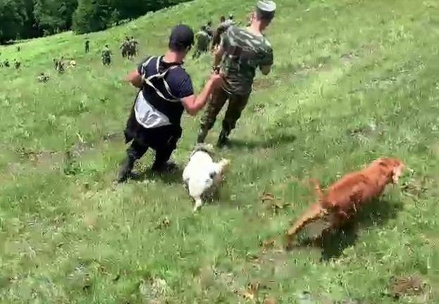 Продолжаются поиски пропавшего в Загатале индийского туриста